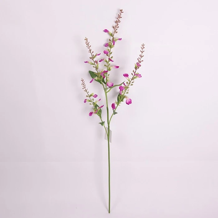 Artistic wild flower