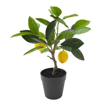 Топ-10 производителей искусственных фруктов в мире