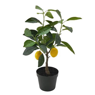 Топ-10 поставщиков искусственных фруктов в мире